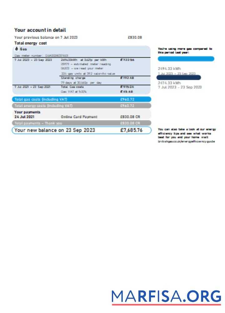 Realistic British Gas Energy utility business bill SCR page 2 example
